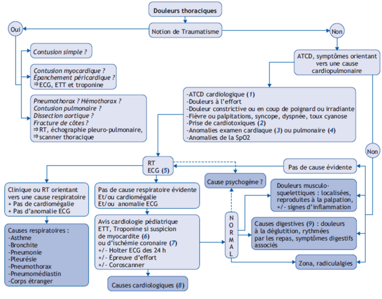Fichier:Orientation diagnostique vers une douleur thoracique.png